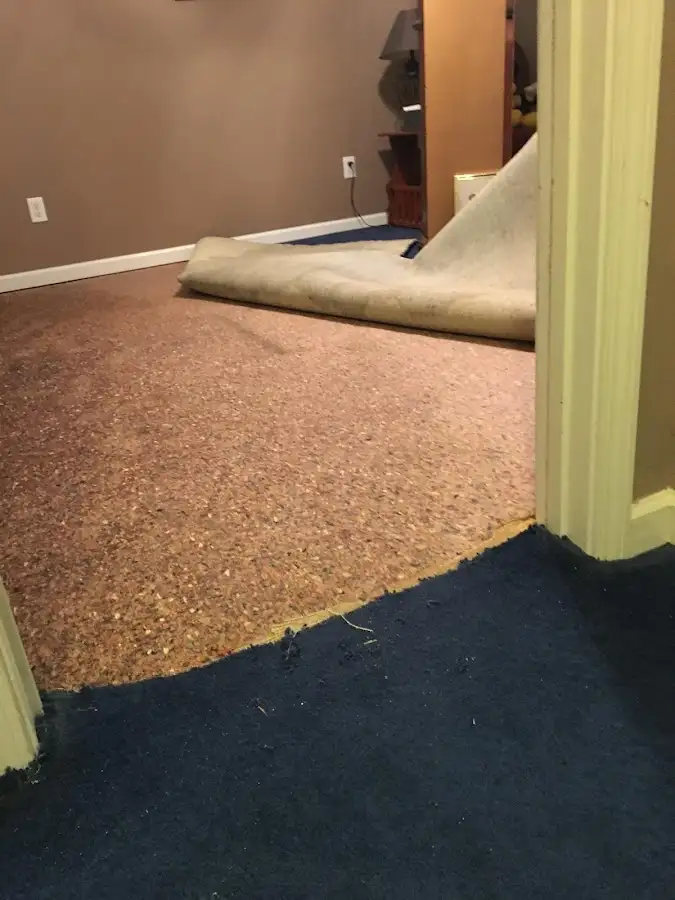 Carpet pad removal revealing water damage during Water Mitigation Services in Clarkston Heights-Vineland