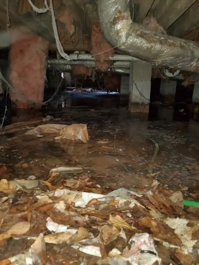 Crawl space flood assessment for Commercial Water Damage Restoration in Clarkston Heights-Vineland