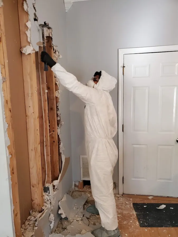 Water Damage Restoration services in Clarkston Heights-Vineland, WA